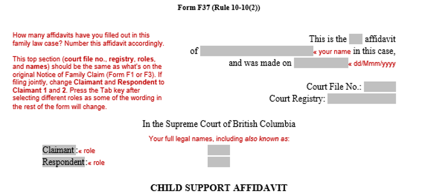 This image shows what Form F37, the child support affidavit form, looks like when you first open it